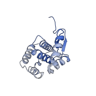 33477_7xur_C_v1-0
The cryo-EM structure of human mini-SNAPc in complex with hU6-1 PSE