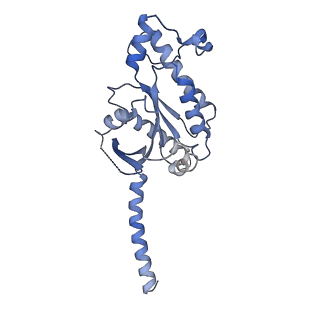 33479_7xv3_A_v1-1
Cryo-EM structure of LPS-bound GPR174 in complex with Gs protein