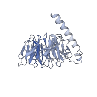 33479_7xv3_B_v1-1
Cryo-EM structure of LPS-bound GPR174 in complex with Gs protein