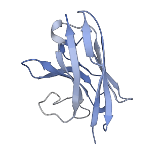 33479_7xv3_N_v1-1
Cryo-EM structure of LPS-bound GPR174 in complex with Gs protein