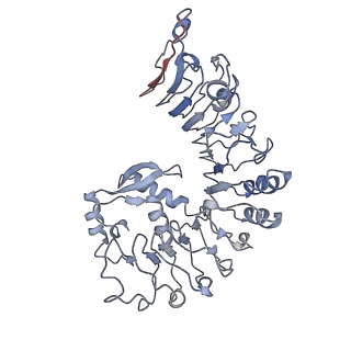 33486_7xvg_A_v1-1
Cryo-EM structure of binary complex of plant NLR Sr35 and effector AvrSr35