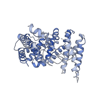 33486_7xvg_B_v1-1
Cryo-EM structure of binary complex of plant NLR Sr35 and effector AvrSr35