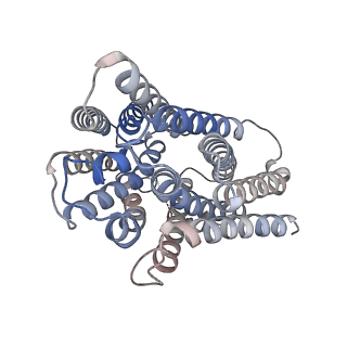 38691_8xv2_A_v1-0
Thiamine-bound human SLC19A3