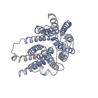 38692_8xv5_A_v1-0
Pyridoxamine-bound human SLC19A3