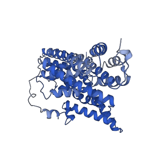 10632_6xwn_A_v1-0
Structure of glutamate transporter homologue GltTk in the presence of TBOA inhibitor