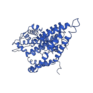 10632_6xwn_C_v1-0
Structure of glutamate transporter homologue GltTk in the presence of TBOA inhibitor