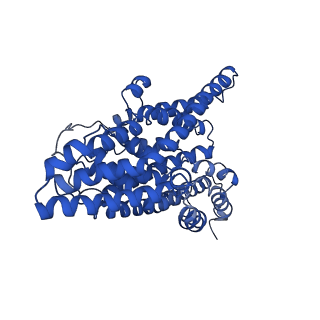 10633_6xwo_A_v1-0
Structure of glutamate transporter homologue GltTk in the unsaturated conditions - inward-inward-outward configuration