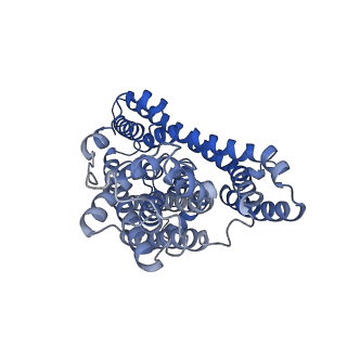 10635_6xwq_B_v1-0
Structure of glutamate transporter homologue GltTk in the saturated conditions