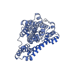 10635_6xwq_C_v1-0
Structure of glutamate transporter homologue GltTk in the saturated conditions