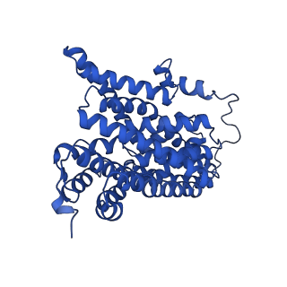 10636_6xwr_A_v1-0
Structure of glutamate transporter homologue GltTk in sodium only condition