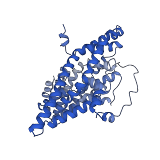 10636_6xwr_C_v1-0
Structure of glutamate transporter homologue GltTk in sodium only condition