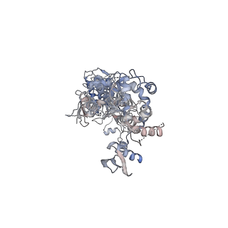33489_7xw2_A_v1-1
Cryo-EM structure of human DICER-pre-miRNA in a dicing state