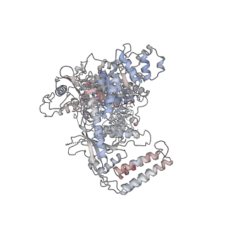 33490_7xw3_A_v1-1
Cryo-EM structure of an apo-form of human DICER