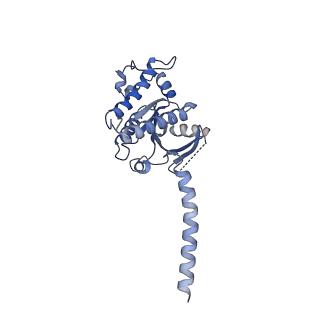 33491_7xw5_A_v1-1
TSHR-thyroid stimulating hormone-Gs-ML109 complex