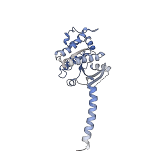 33492_7xw6_A_v1-2
TSHR-Gs-M22 antibody-ML109 complex