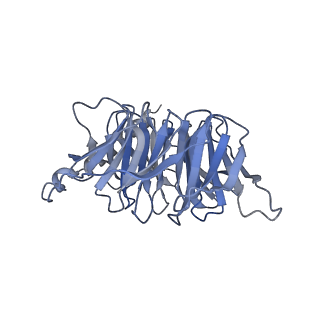 33492_7xw6_B_v1-2
TSHR-Gs-M22 antibody-ML109 complex