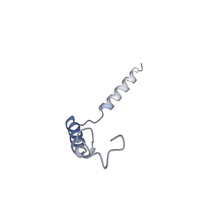33492_7xw6_G_v1-2
TSHR-Gs-M22 antibody-ML109 complex