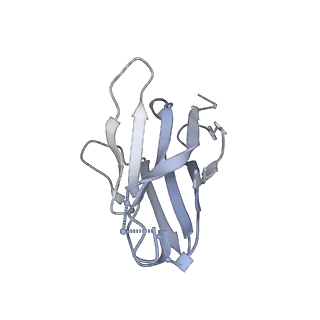 33492_7xw6_L_v1-2
TSHR-Gs-M22 antibody-ML109 complex