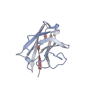 33492_7xw6_N_v1-2
TSHR-Gs-M22 antibody-ML109 complex