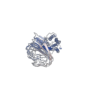 33492_7xw6_R_v1-2
TSHR-Gs-M22 antibody-ML109 complex
