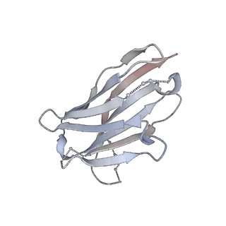 33492_7xw6_Y_v1-2
TSHR-Gs-M22 antibody-ML109 complex