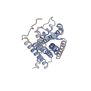 33494_7xw9_R_v1-1
Cryo-EM structure of the TRH-bound human TRHR-Gq complex