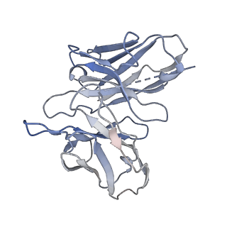 33494_7xw9_S_v1-1
Cryo-EM structure of the TRH-bound human TRHR-Gq complex