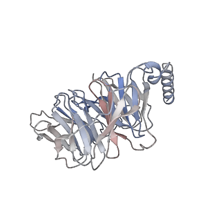 33497_7xwo_C_v1-1
Neurokinin A bound to active human neurokinin 2 receptor in complex with G324