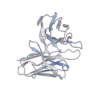 33497_7xwo_E_v1-1
Neurokinin A bound to active human neurokinin 2 receptor in complex with G324
