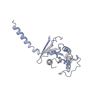 33497_7xwo_F_v1-1
Neurokinin A bound to active human neurokinin 2 receptor in complex with G324
