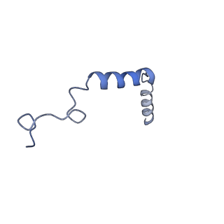33497_7xwo_G_v1-1
Neurokinin A bound to active human neurokinin 2 receptor in complex with G324