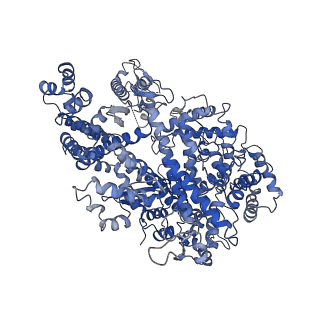 6777_5xwy_A_v1-2
Electron cryo-microscopy structure of LbuCas13a-crRNA binary complex