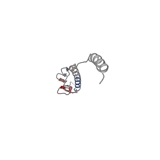 10648_6xxe_O_v1-2
CryoEM structure of the type IV pilin PilA5 from Thermus thermophilus