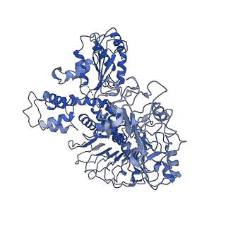 33498_7xx2_A_v1-0
Cryo-EM structure of Sr35 resistosome induced by AvrSr35 R381A