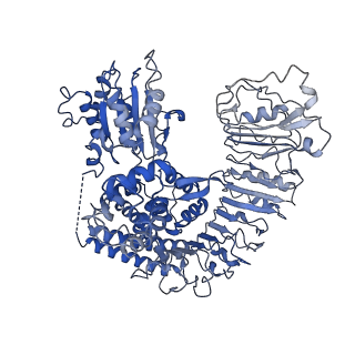 33498_7xx2_C_v1-0
Cryo-EM structure of Sr35 resistosome induced by AvrSr35 R381A