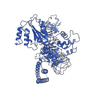 33498_7xx2_E_v1-0
Cryo-EM structure of Sr35 resistosome induced by AvrSr35 R381A