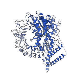 33498_7xx2_G_v1-0
Cryo-EM structure of Sr35 resistosome induced by AvrSr35 R381A