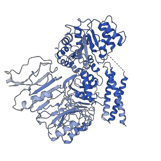 33498_7xx2_I_v1-0
Cryo-EM structure of Sr35 resistosome induced by AvrSr35 R381A
