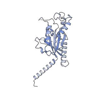 33503_7xxh_A_v1-1
Cryo-EM structure of the purinergic receptor P2Y1R in complex with 2MeSADP and G11