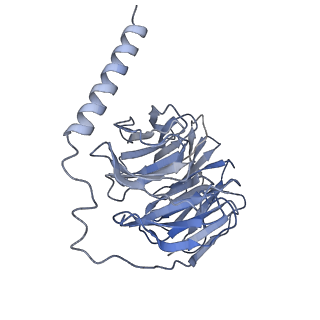 33503_7xxh_B_v1-1
Cryo-EM structure of the purinergic receptor P2Y1R in complex with 2MeSADP and G11