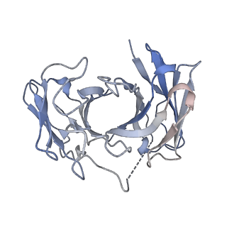 33503_7xxh_H_v1-1
Cryo-EM structure of the purinergic receptor P2Y1R in complex with 2MeSADP and G11