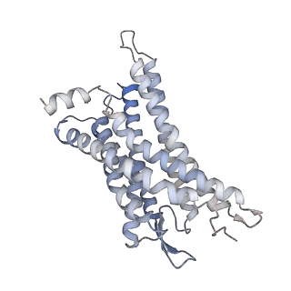 33503_7xxh_R_v1-1
Cryo-EM structure of the purinergic receptor P2Y1R in complex with 2MeSADP and G11