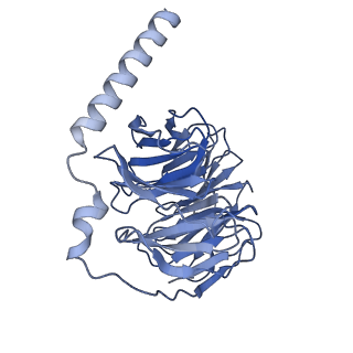 33504_7xxi_C_v1-1
Cryo-EM structure of the purinergic receptor P2Y12R in complex with 2MeSADP and Gi