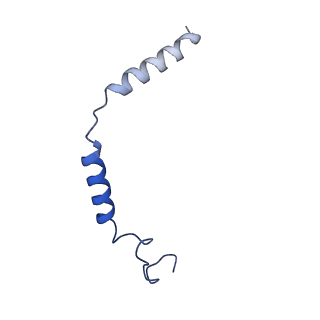33504_7xxi_G_v1-1
Cryo-EM structure of the purinergic receptor P2Y12R in complex with 2MeSADP and Gi