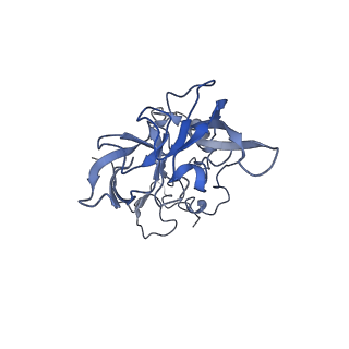 6778_5xxb_A_v1-1
Large subunit of Toxoplasma gondii ribosome