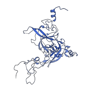 6778_5xxb_B_v1-1
Large subunit of Toxoplasma gondii ribosome