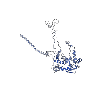 6778_5xxb_C_v1-1
Large subunit of Toxoplasma gondii ribosome