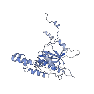 6778_5xxb_D_v1-1
Large subunit of Toxoplasma gondii ribosome