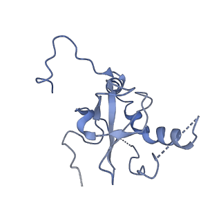 6778_5xxb_E_v1-1
Large subunit of Toxoplasma gondii ribosome
