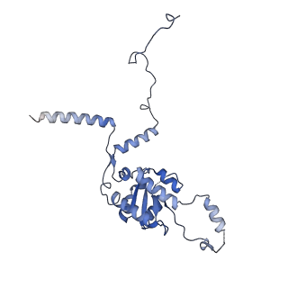 6778_5xxb_G_v1-1
Large subunit of Toxoplasma gondii ribosome